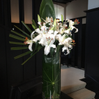 Flower detail<br/><a href="gallery/swib_agm_sep2018/994/add/#comments">Add comment</a>