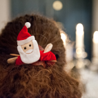 A festive wave goodnight!<br/><a href="gallery/swib_dec2012/280/add/#comments">Add comment</a>